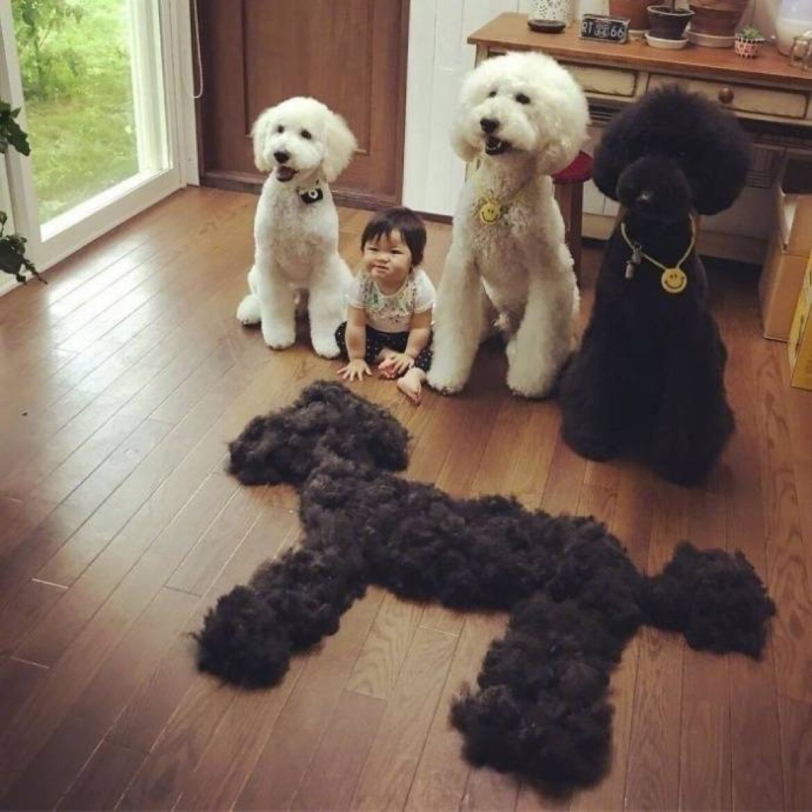 嘻嘻不嘻嘻